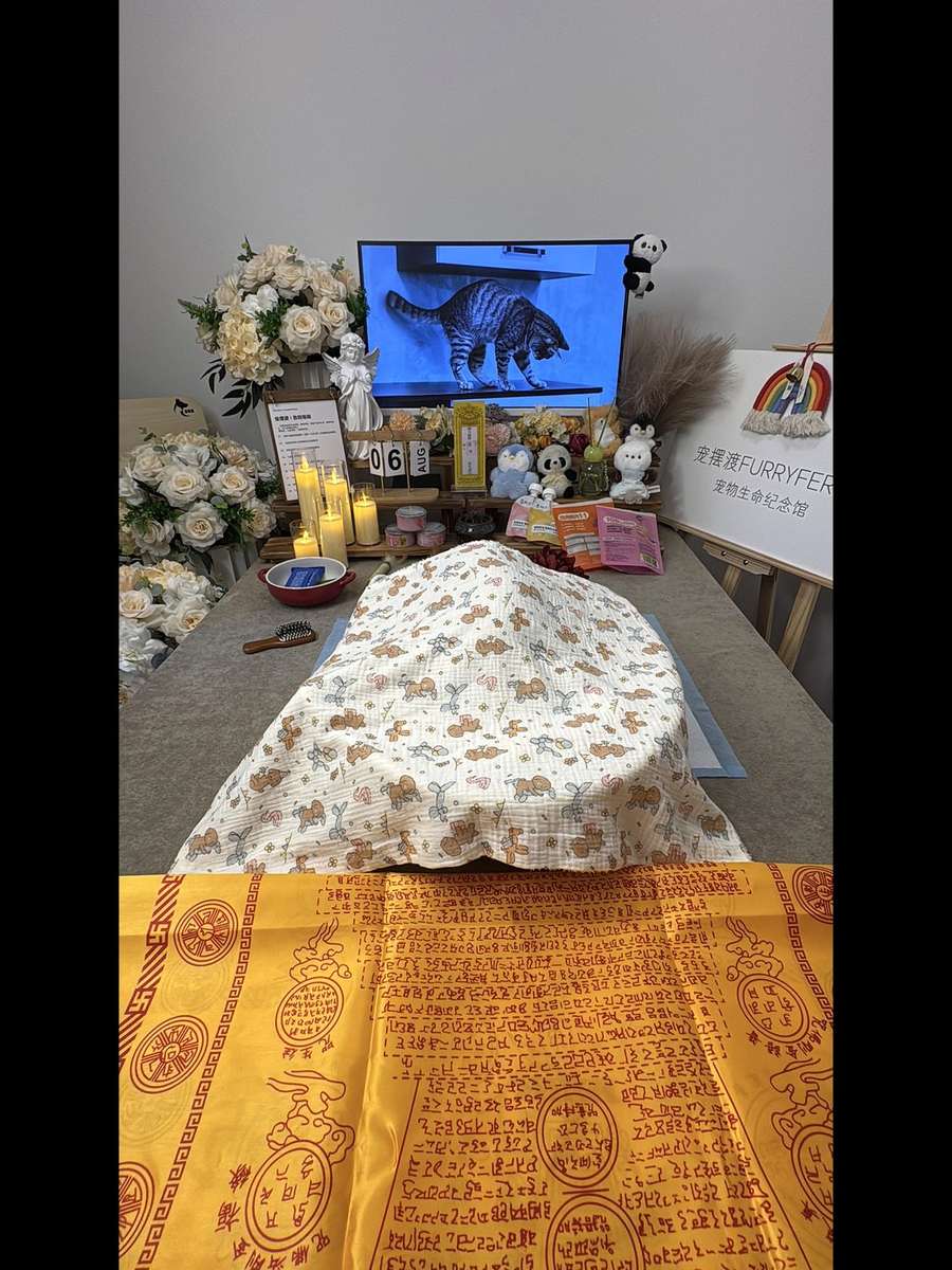淮安宠物告别厅
